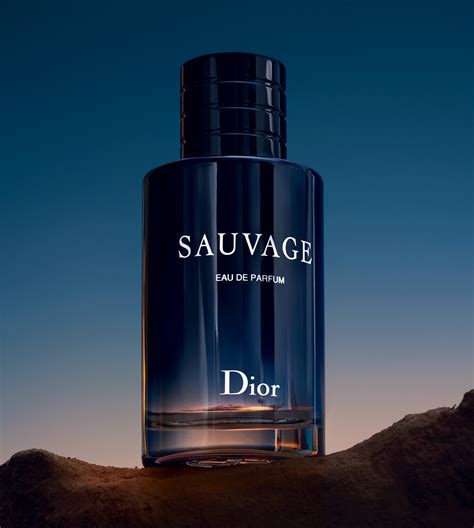 dior parfum man